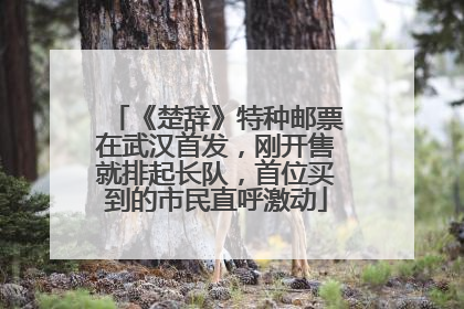 《楚辞》特种邮票在武汉首发，刚开售就排起长队，首位买到的市民直呼激动