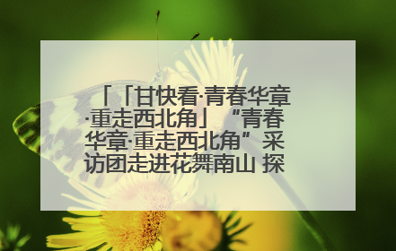「甘快看·青春华章·重走西北角」“青春华章·重走西北角”采访团走进花舞南山 探寻天水乡村振兴之路