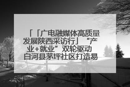 「广电融媒体高质量发展陕西采访行」“产业+就业”双轮驱动 白河县茅坪社区打造易地搬迁后扶新样本