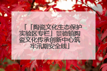 「陶瓷文化生态保护实验区专栏」景德镇陶瓷文化传承创新中心筑牢汛期安全线