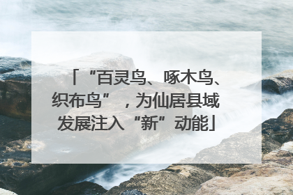 “百灵鸟、啄木鸟、织布鸟”，为仙居县域发展注入“新”动能