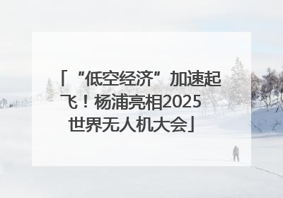 “低空经济”加速起飞！杨浦亮相2025世界无人机大会