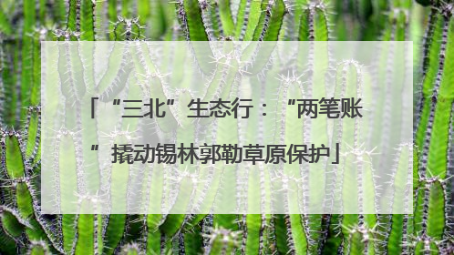 “三北”生态行：“两笔账”撬动锡林郭勒草原保护