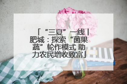 “三夏”一线丨肥城：探索“菌果蔬”轮作模式 助力农民增收致富