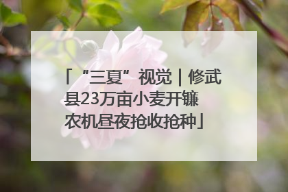 “三夏”视觉｜修武县23万亩小麦开镰 农机昼夜抢收抢种