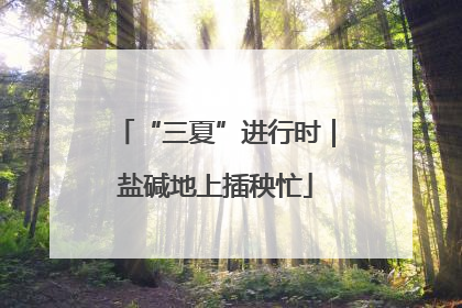 “三夏”进行时｜盐碱地上插秧忙