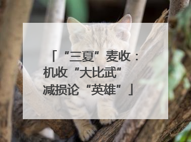“三夏”麦收：机收“大比武” 减损论“英雄”