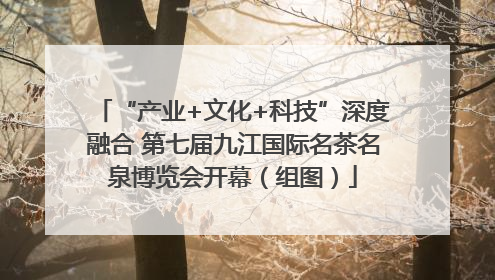 “产业+文化+科技”深度融合 第七届九江国际名茶名泉博览会开幕（组图）