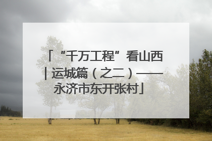 “千万工程”看山西｜运城篇（之二）——永济市东开张村