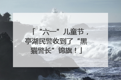 “六一”儿童节，亭湖民警收到了“黑猫警长”锦旗！