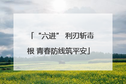 “六进” 利刃斩毒根 青春防线筑平安