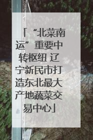 “北菜南运”重要中转枢纽 辽宁新民市打造东北最大产地蔬菜交易中心