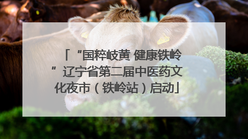 “国粹岐黄 健康铁岭”辽宁省第二届中医药文化夜市（铁岭站）启动