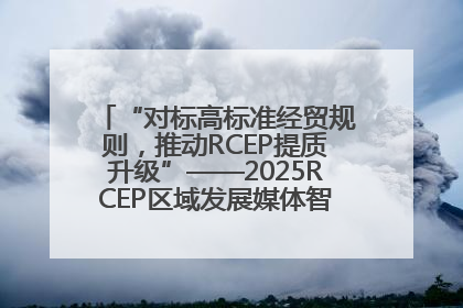 “对标高标准经贸规则，推动RCEP提质升级”——2025RCEP区域发展媒体智库论坛举行专题对话