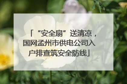 “安全扇”送清凉，国网孟州市供电公司入户排查筑安全防线