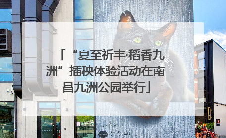 “夏至祈丰·稻香九洲”插秧体验活动在南昌九洲公园举行