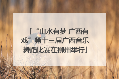 “山水有梦 广西有戏”第十三届广西音乐舞蹈比赛在柳州举行