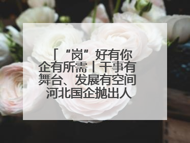 “岗”好有你 企有所需丨干事有舞台、发展有空间 河北国企抛出人才“橄榄枝”