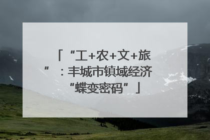 “工+农+文+旅”：丰城市镇域经济“蝶变密码”