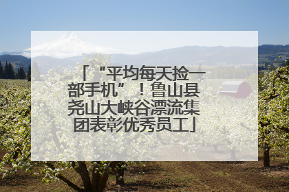 “平均每天捡一部手机”！鲁山县尧山大峡谷漂流集团表彰优秀员工
