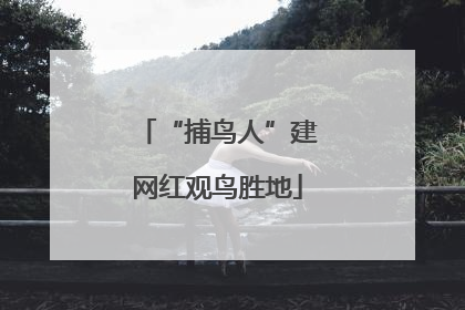“捕鸟人”建网红观鸟胜地