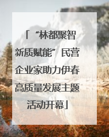 “林都聚智 新质赋能”民营企业家助力伊春高质量发展主题活动开幕