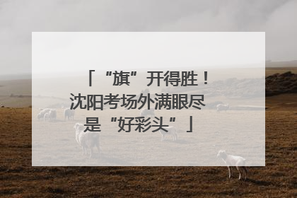 “旗”开得胜！沈阳考场外满眼尽是“好彩头”
