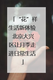 “花”样生活新体验 北京大兴区让月季走进日常生活