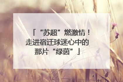 “苏超”燃激情！走进宿迁球迷心中的那片“绿茵”