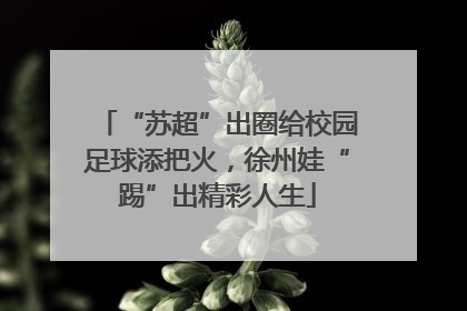 “苏超”出圈给校园足球添把火，徐州娃“踢”出精彩人生