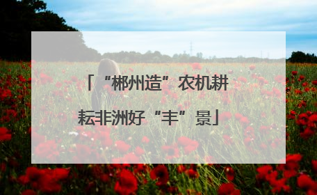 “郴州造”农机耕耘非洲好“丰”景