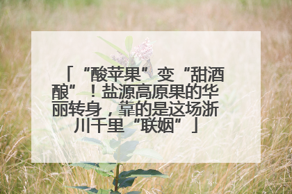 “酸苹果”变“甜酒酿”！盐源高原果的华丽转身，靠的是这场浙川千里“联姻”