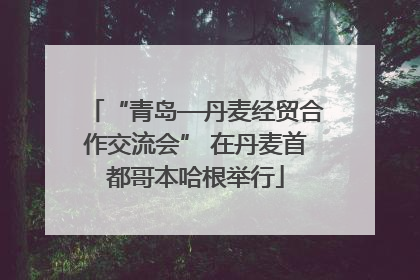 “青岛—丹麦经贸合作交流会” 在丹麦首都哥本哈根举行