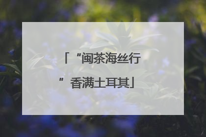 “闽茶海丝行”香满土耳其