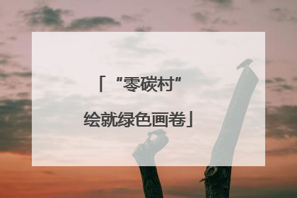 “零碳村” 绘就绿色画卷