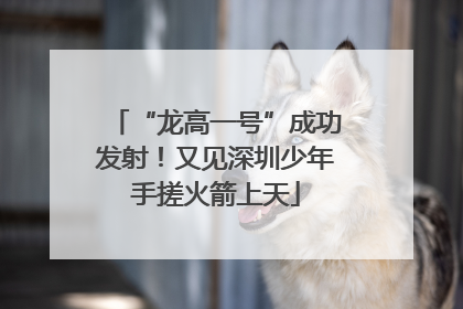“龙高一号”成功发射！又见深圳少年手搓火箭上天