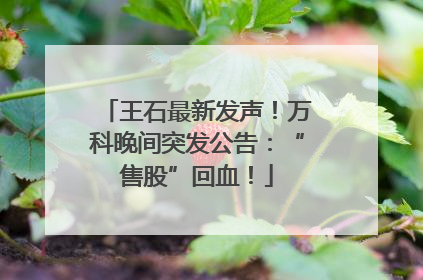 王石最新发声！万科晚间突发公告：“售股”回血！