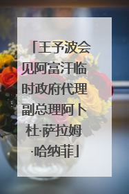 王予波会见阿富汗临时政府代理副总理阿卜杜·萨拉姆·哈纳菲