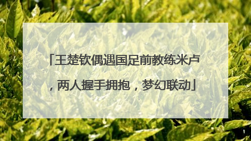 王楚钦偶遇国足前教练米卢，两人握手拥抱，梦幻联动