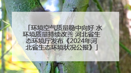 环境空气质量稳中向好 水环境质量持续改善 河北省生态环境厅发布《2024年河北省生态环境状况公报》