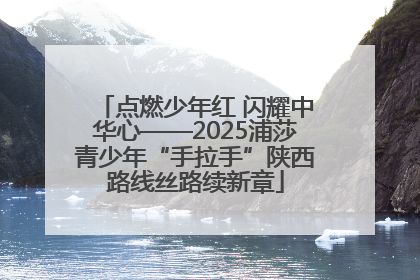点燃少年红 闪耀中华心——2025浦莎青少年“手拉手”陕西路线丝路续新章