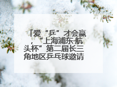 爱“乒”才会赢，“上海浦东·航头杯”第二届长三角地区乒乓球邀请赛举行