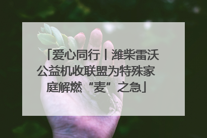 爱心同行丨潍柴雷沃公益机收联盟为特殊家庭解燃“麦”之急
