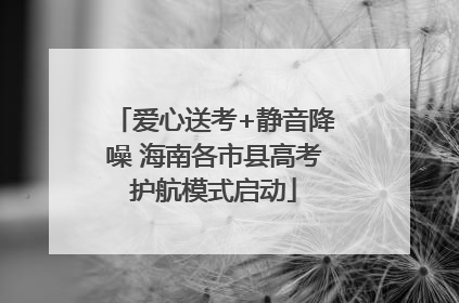 爱心送考+静音降噪 海南各市县高考护航模式启动