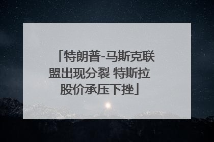 特朗普-马斯克联盟出现分裂 特斯拉股价承压下挫