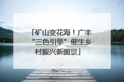 矿山变花海！广丰“三色引擎”催生乡村振兴新图景