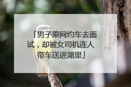 男子乘网约车去面试，却被女司机连人带车送进湖里