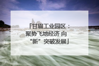 甘眉工业园区：聚势飞地经济 向“新”突破发展