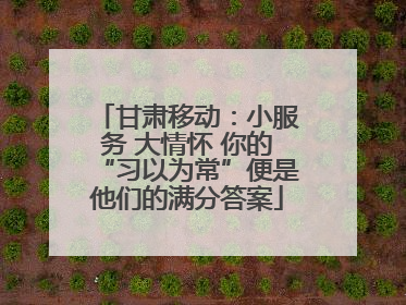 甘肃移动：小服务 大情怀 你的“习以为常”便是他们的满分答案