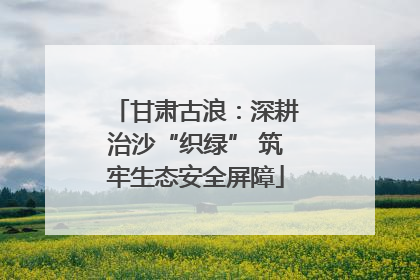 甘肃古浪：深耕治沙“织绿” 筑牢生态安全屏障